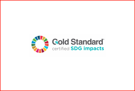 Gold Standard Reporting