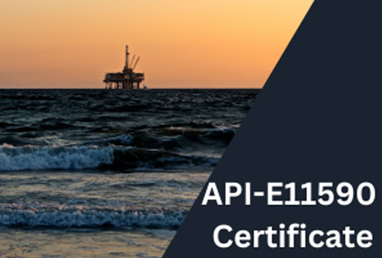 API-E11590 CERTIFICATION