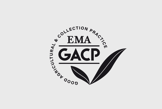 GACP CERTIFICATION